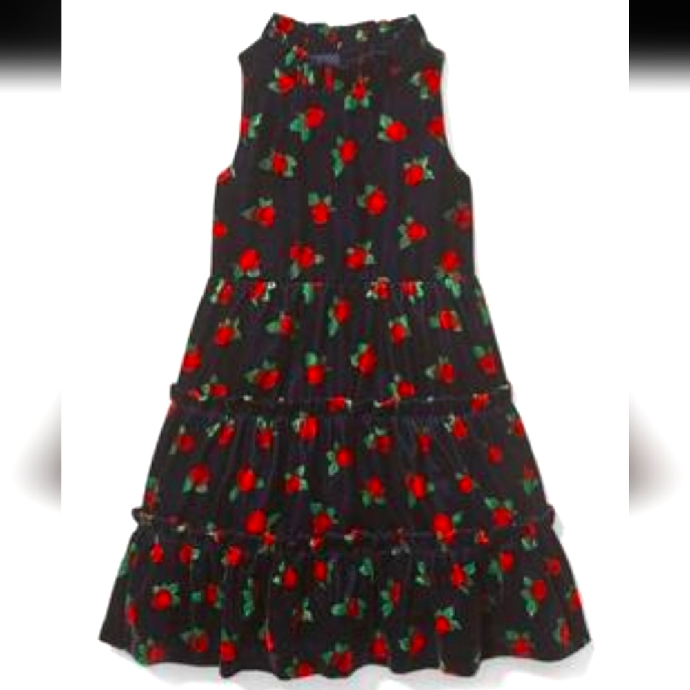 Janie and Jack Girls Navy Velvet Roses Dress